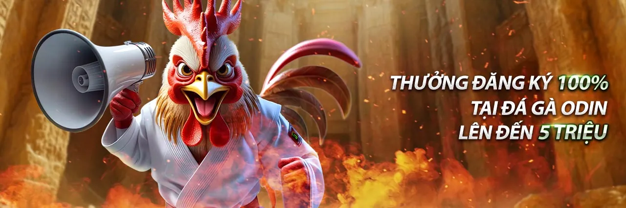 Giao diện cá cược thể thao và casino trực tuyến FIVE88